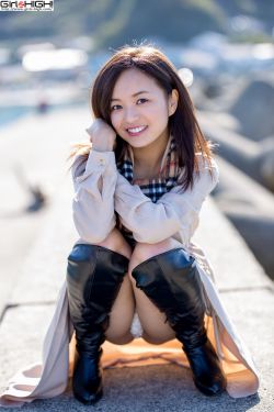 《新还珠格格之燕儿双双飞》