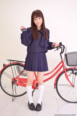 恋晴 乌蒙小燕
