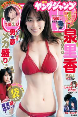 降龙伏虎小济公 电视剧