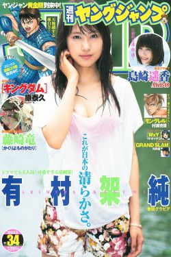花游记 电视剧